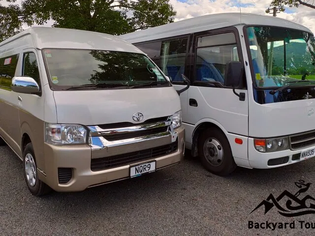 Deux vans touristiques garés dehors sous les arbres, prêts pour les passagers.